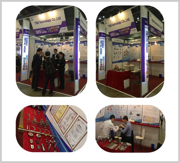 TSM titanium exhibition.jpg