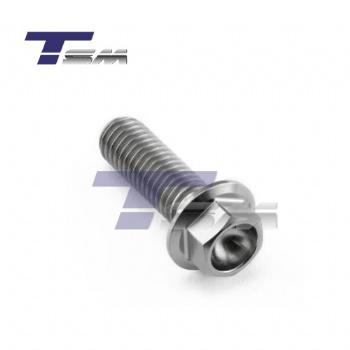 Titanium hex bolts