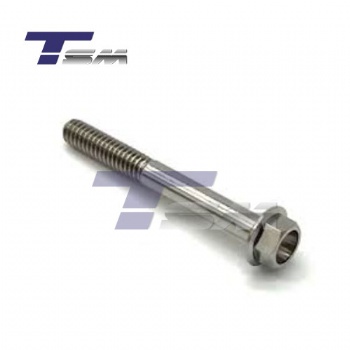 Aluminum Screws