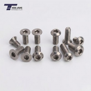 Titanium Micro Screws
